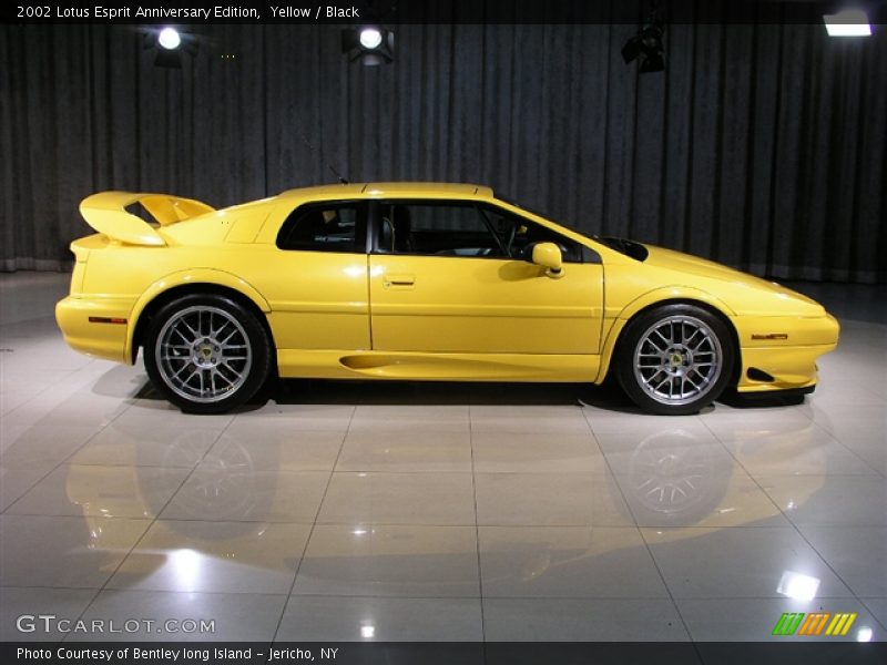  2002 Esprit Anniversary Edition Yellow
