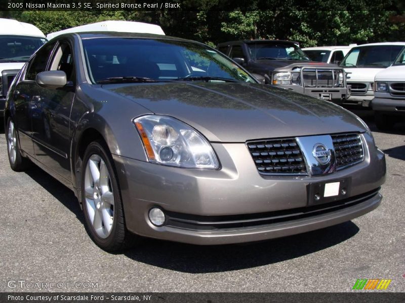 Spirited Bronze Pearl / Black 2005 Nissan Maxima 3.5 SE