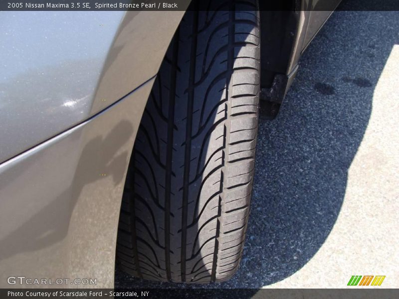 Spirited Bronze Pearl / Black 2005 Nissan Maxima 3.5 SE