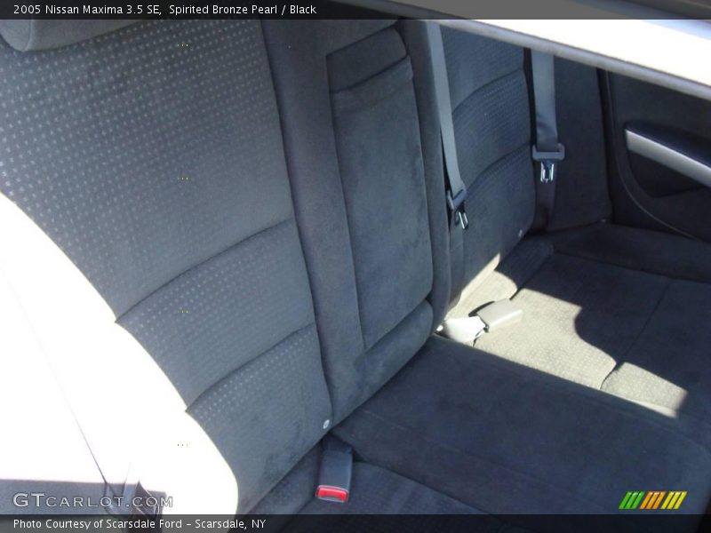 Spirited Bronze Pearl / Black 2005 Nissan Maxima 3.5 SE
