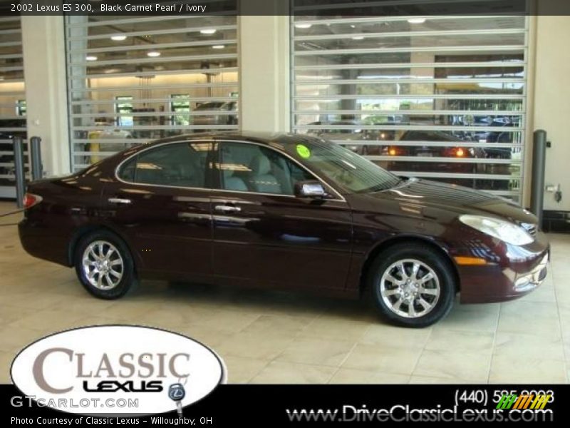 Black Garnet Pearl / Ivory 2002 Lexus ES 300