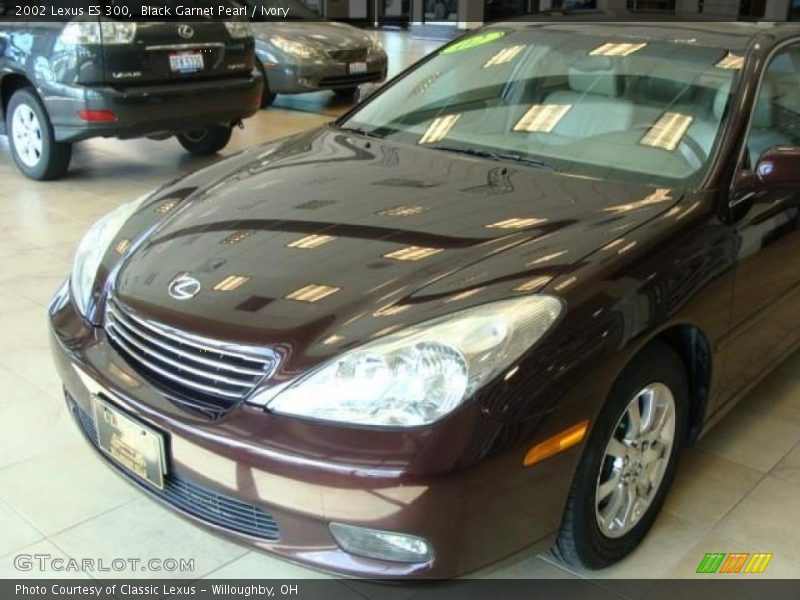 Black Garnet Pearl / Ivory 2002 Lexus ES 300