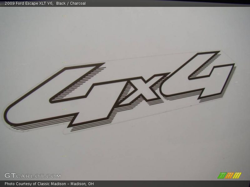 Black / Charcoal 2009 Ford Escape XLT V6