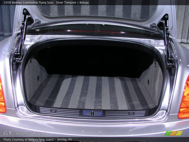 Silver Tempest / Beluga 2008 Bentley Continental Flying Spur
