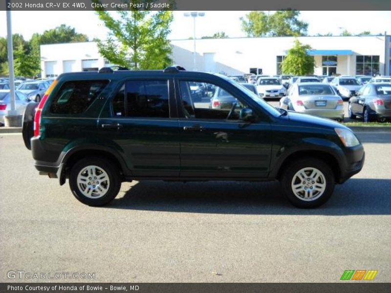Clover Green Pearl / Saddle 2002 Honda CR-V EX 4WD