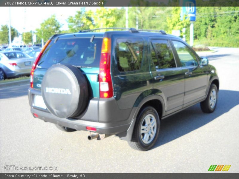 Clover Green Pearl / Saddle 2002 Honda CR-V EX 4WD