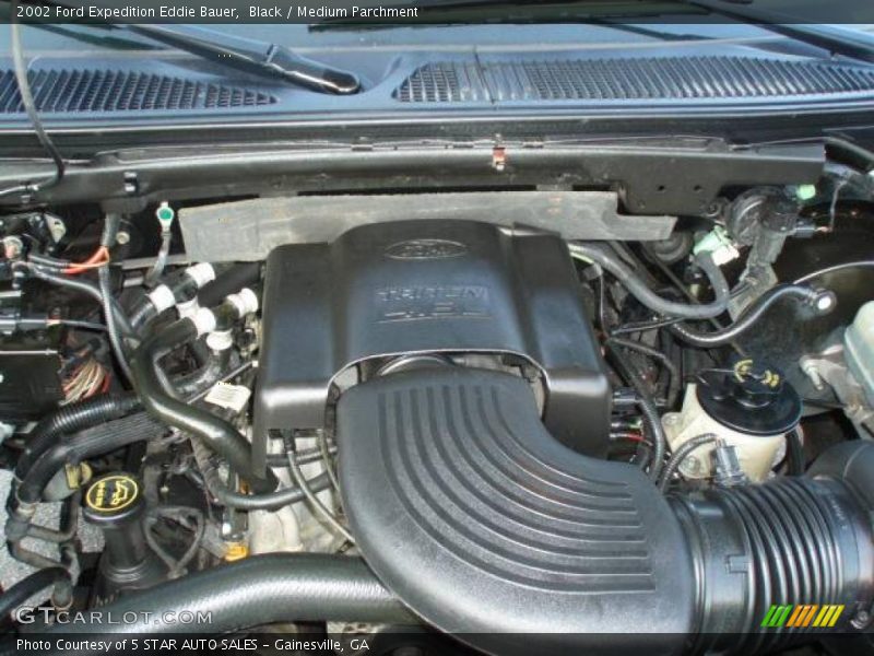 Black / Medium Parchment 2002 Ford Expedition Eddie Bauer