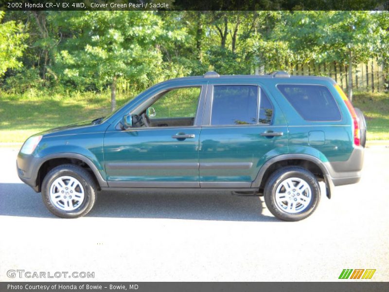 Clover Green Pearl / Saddle 2002 Honda CR-V EX 4WD