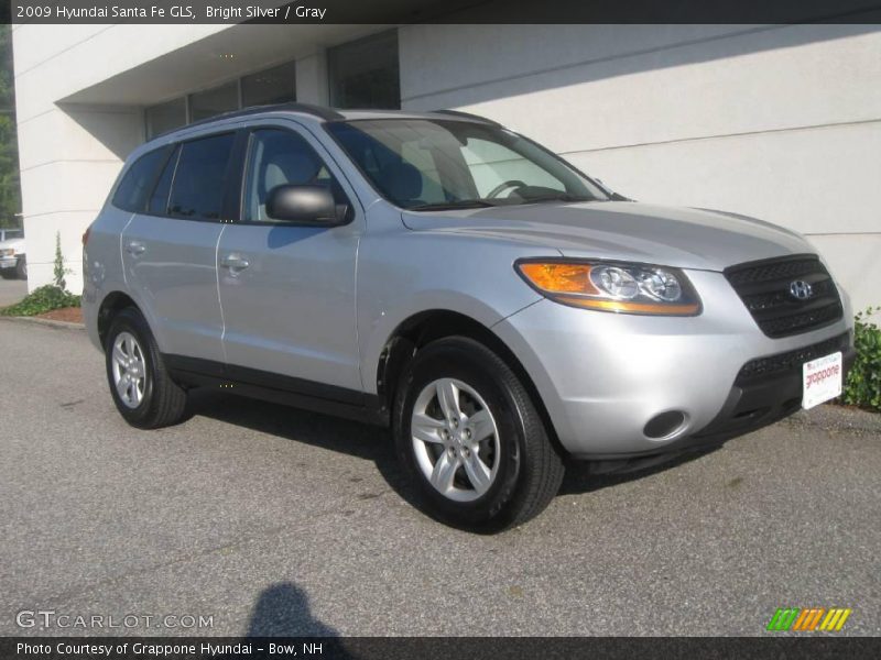Bright Silver / Gray 2009 Hyundai Santa Fe GLS