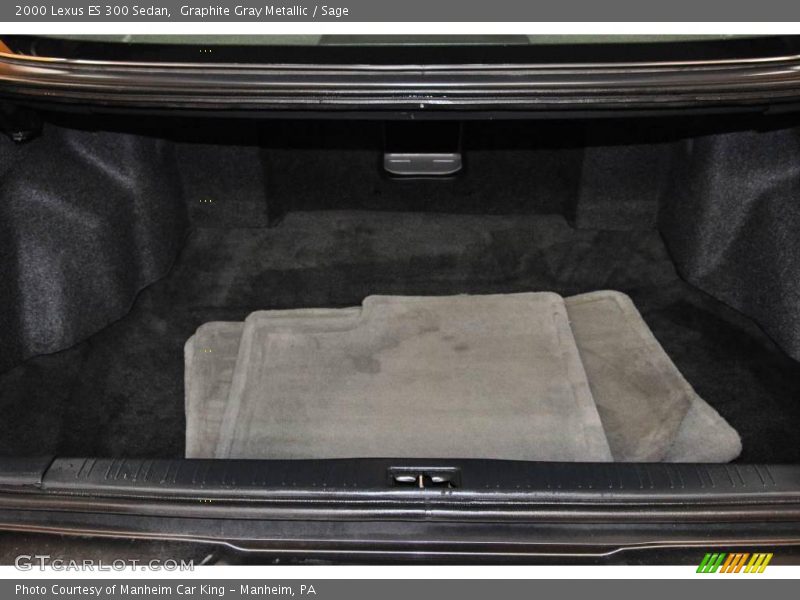 Graphite Gray Metallic / Sage 2000 Lexus ES 300 Sedan