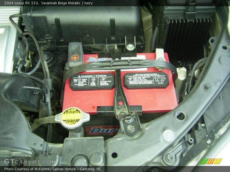 Savannah Beige Metallic / Ivory 2004 Lexus RX 330