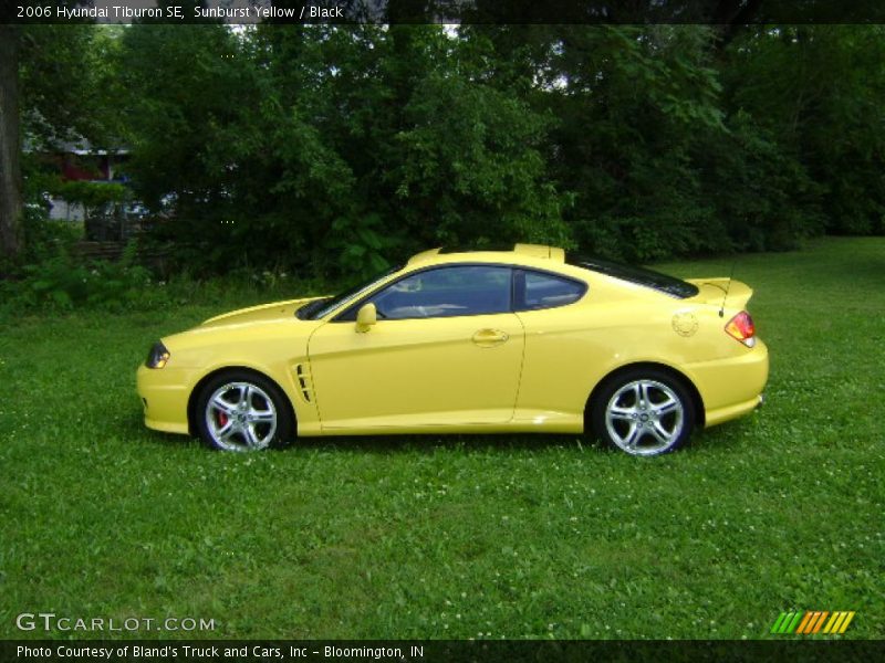 Sunburst Yellow / Black 2006 Hyundai Tiburon SE