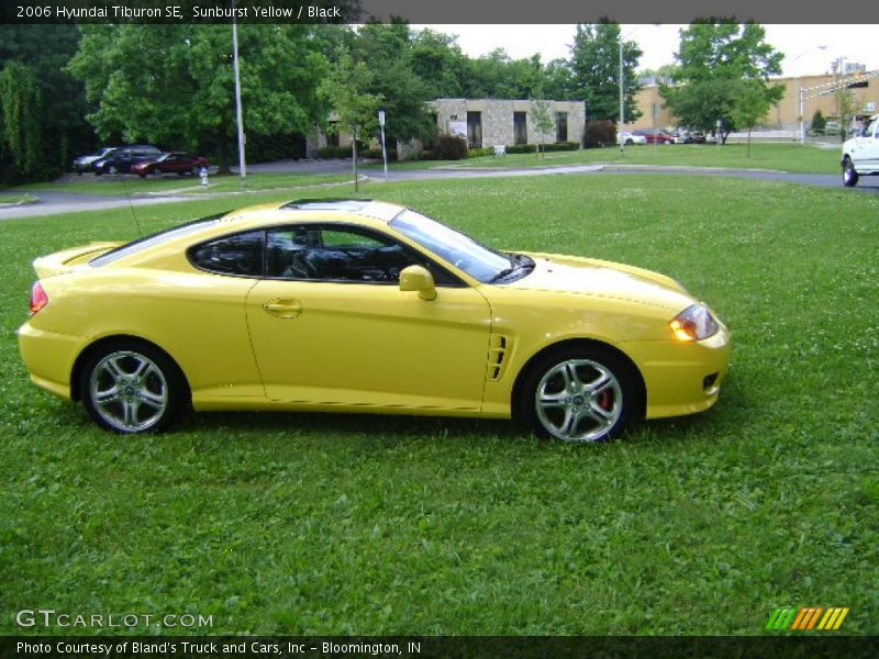 Sunburst Yellow / Black 2006 Hyundai Tiburon SE