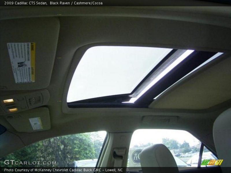 Black Raven / Cashmere/Cocoa 2009 Cadillac CTS Sedan