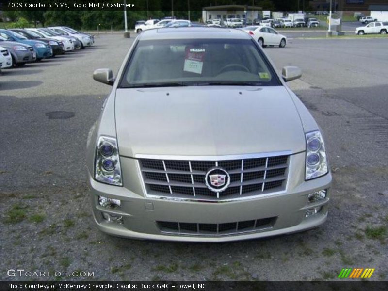 Gold Mist / Cashmere 2009 Cadillac STS V6