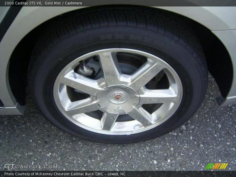 Gold Mist / Cashmere 2009 Cadillac STS V6