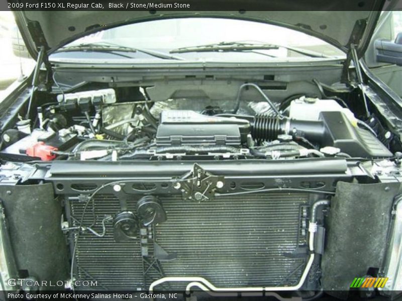 Black / Stone/Medium Stone 2009 Ford F150 XL Regular Cab