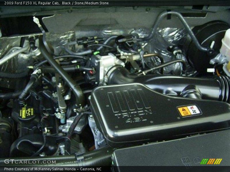 Black / Stone/Medium Stone 2009 Ford F150 XL Regular Cab