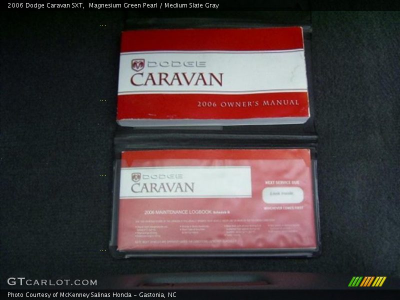 Magnesium Green Pearl / Medium Slate Gray 2006 Dodge Caravan SXT