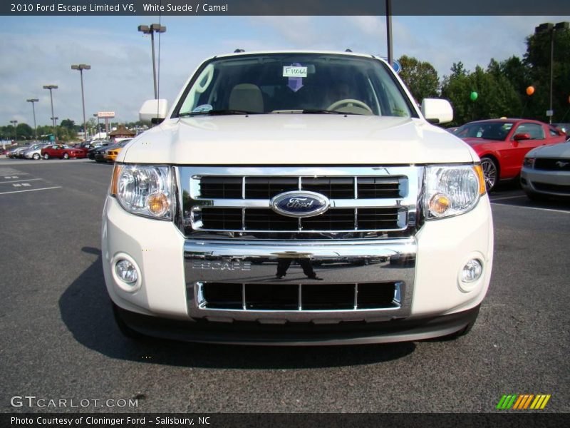White Suede / Camel 2010 Ford Escape Limited V6