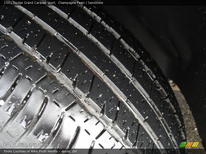 Champagne Pearl / Sandstone 2001 Dodge Grand Caravan Sport