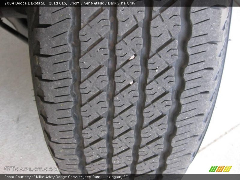 Bright Silver Metallic / Dark Slate Gray 2004 Dodge Dakota SLT Quad Cab