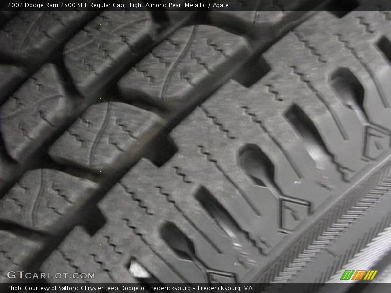 Light Almond Pearl Metallic / Agate 2002 Dodge Ram 2500 SLT Regular Cab