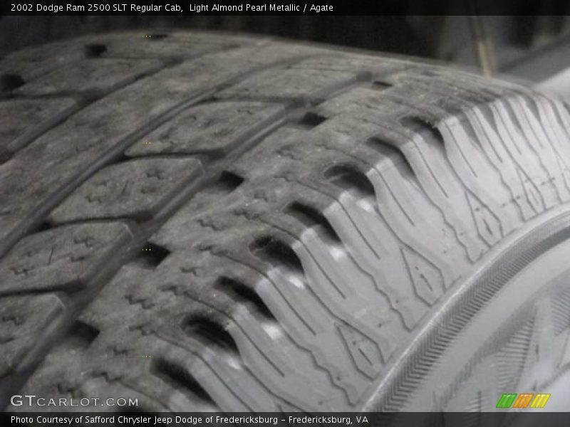 Light Almond Pearl Metallic / Agate 2002 Dodge Ram 2500 SLT Regular Cab