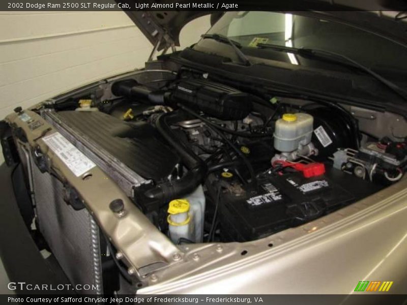 Light Almond Pearl Metallic / Agate 2002 Dodge Ram 2500 SLT Regular Cab