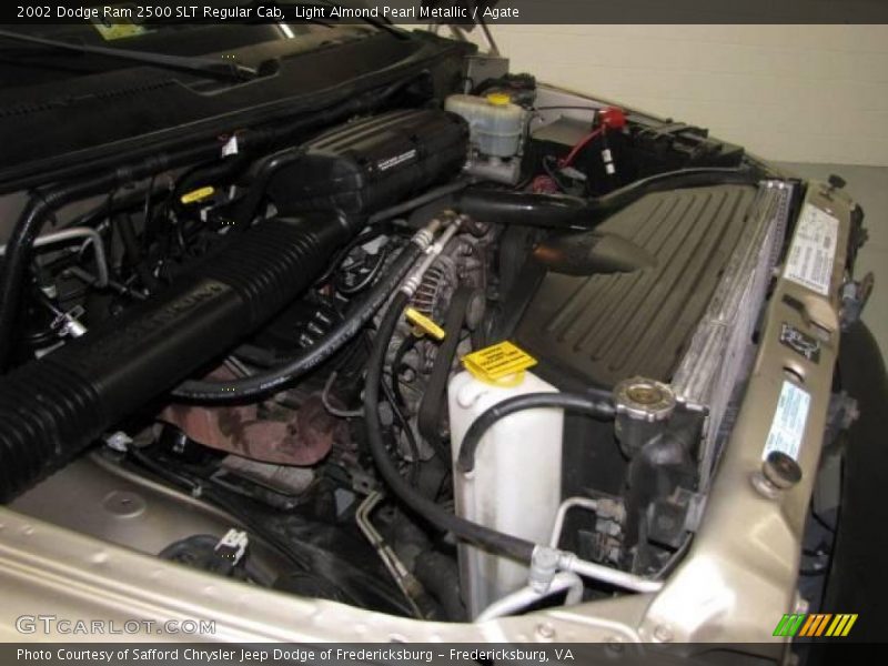 Light Almond Pearl Metallic / Agate 2002 Dodge Ram 2500 SLT Regular Cab