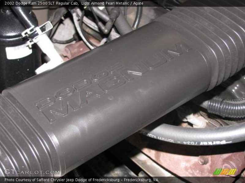 Light Almond Pearl Metallic / Agate 2002 Dodge Ram 2500 SLT Regular Cab