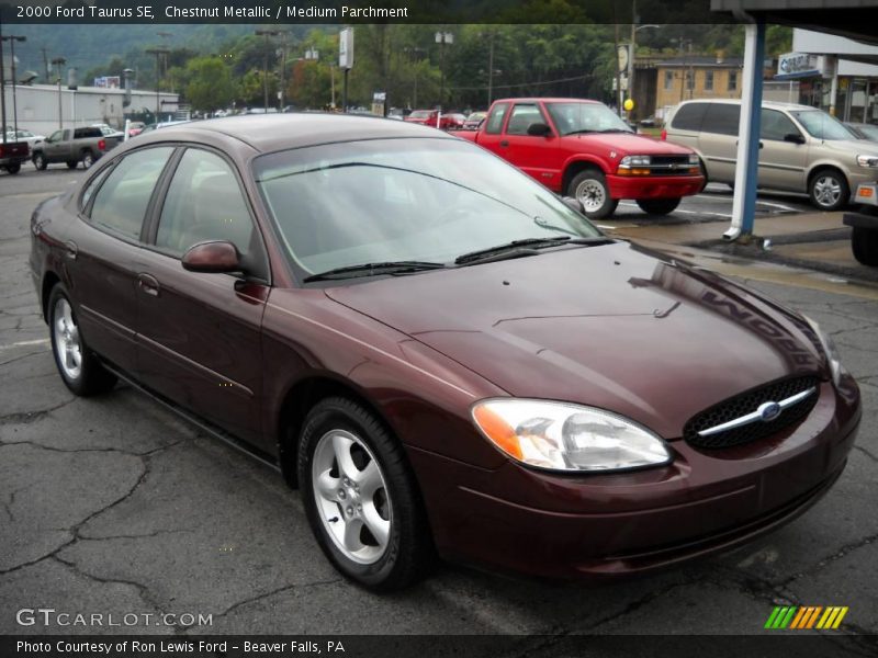 Chestnut Metallic / Medium Parchment 2000 Ford Taurus SE