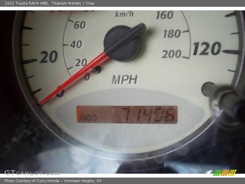 Titanium Metallic / Gray 2003 Toyota RAV4 4WD