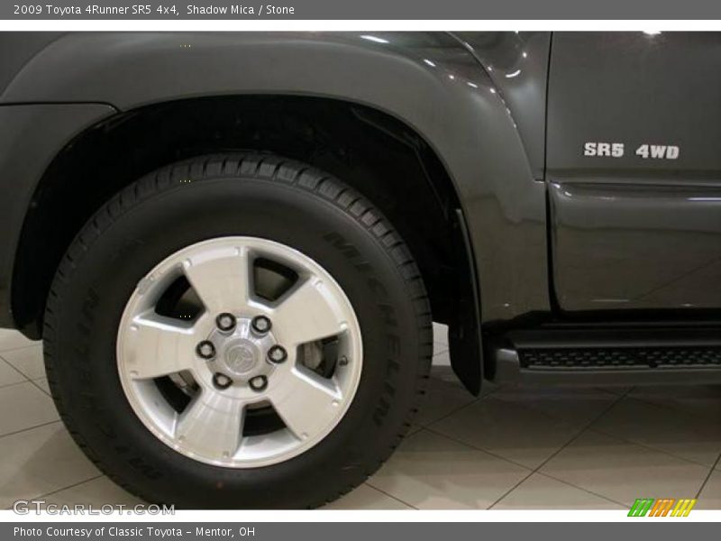 Shadow Mica / Stone 2009 Toyota 4Runner SR5 4x4