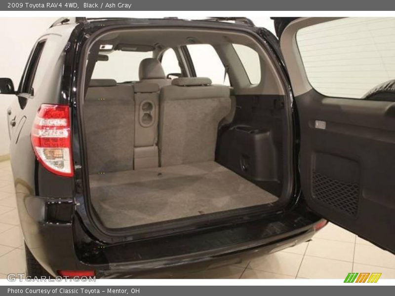 Black / Ash Gray 2009 Toyota RAV4 4WD