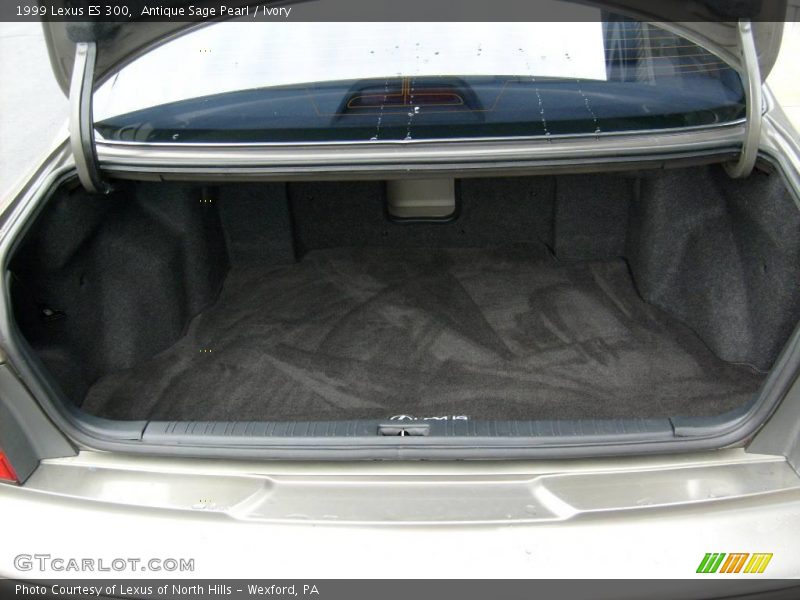 Antique Sage Pearl / Ivory 1999 Lexus ES 300