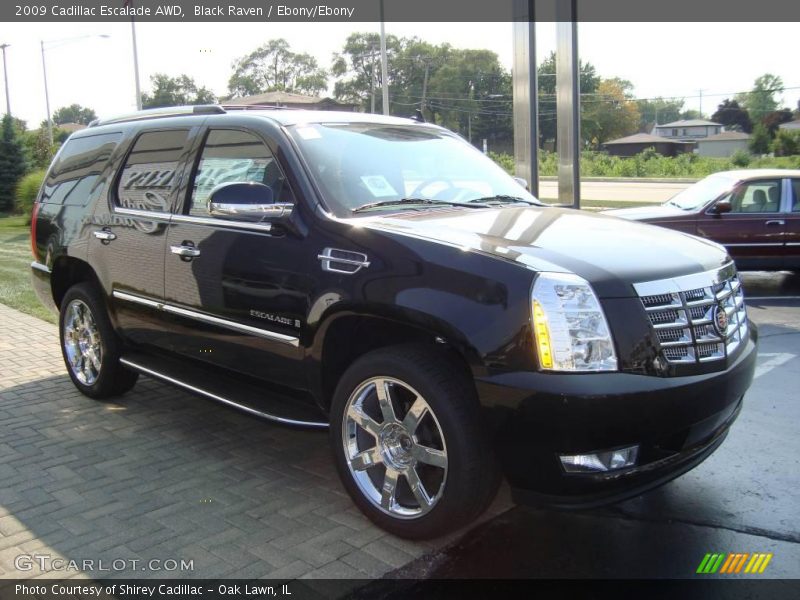 Black Raven / Ebony/Ebony 2009 Cadillac Escalade AWD