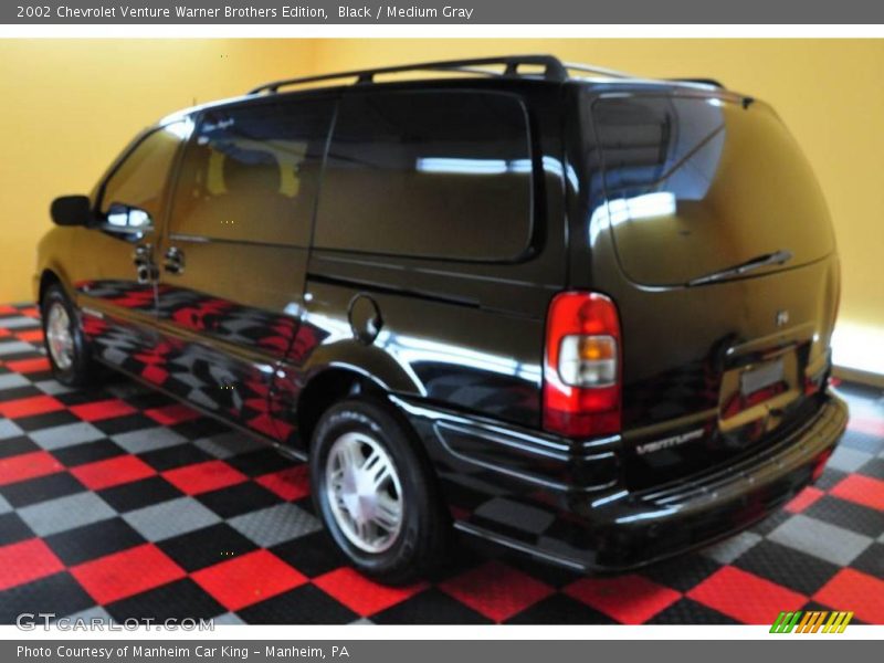 Black / Medium Gray 2002 Chevrolet Venture Warner Brothers Edition