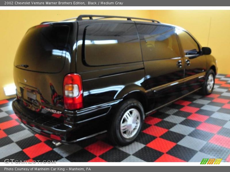 Black / Medium Gray 2002 Chevrolet Venture Warner Brothers Edition