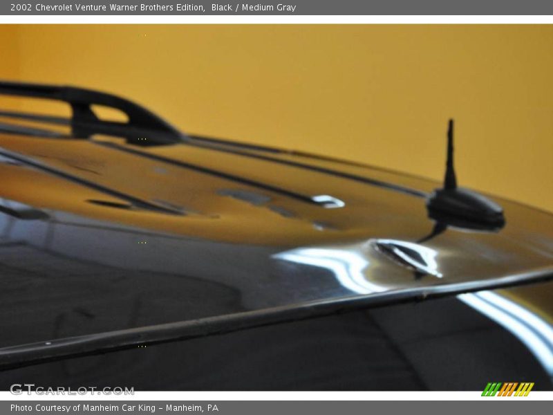 Black / Medium Gray 2002 Chevrolet Venture Warner Brothers Edition
