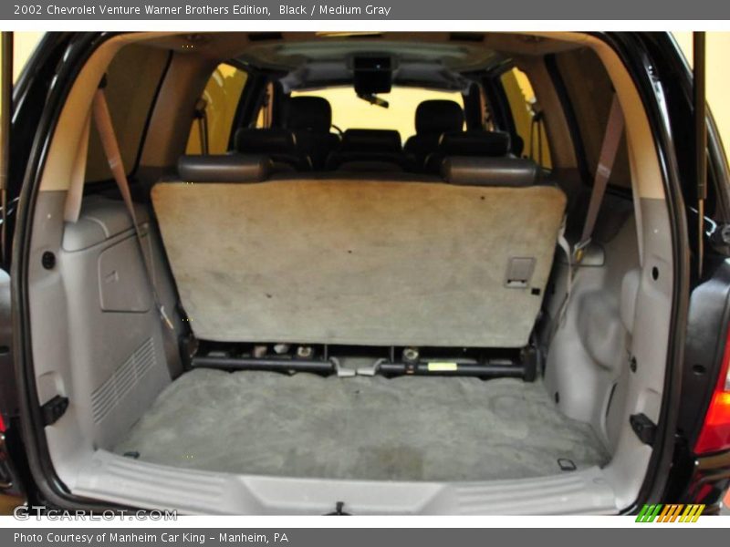 Black / Medium Gray 2002 Chevrolet Venture Warner Brothers Edition