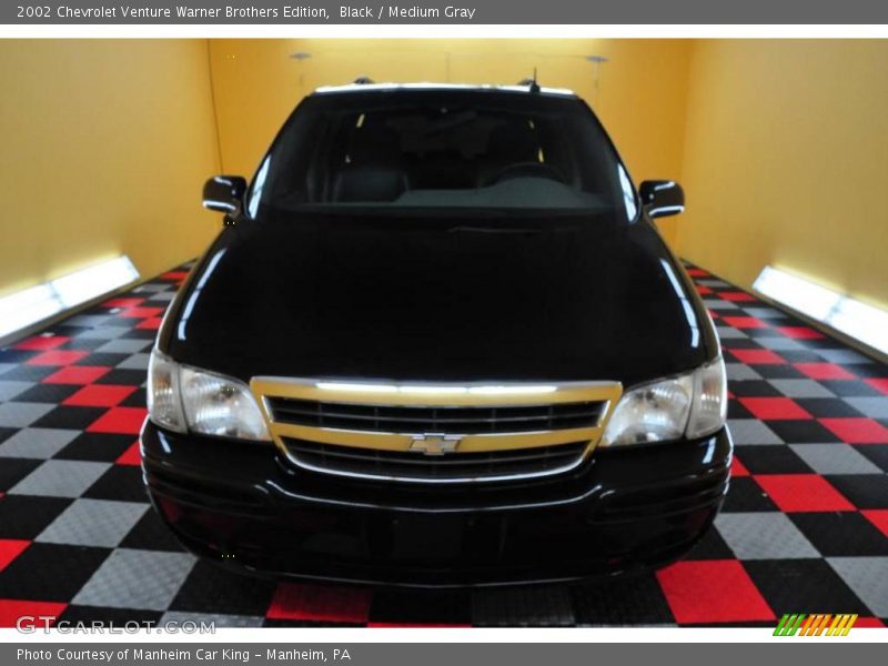 Black / Medium Gray 2002 Chevrolet Venture Warner Brothers Edition