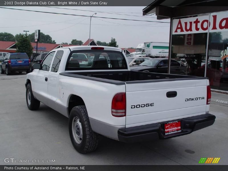 Bright White / Dark Slate Gray 2003 Dodge Dakota Club Cab