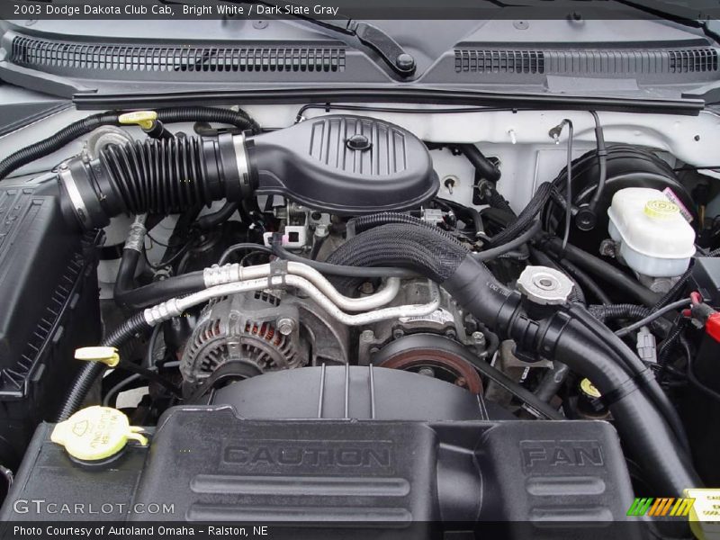 Bright White / Dark Slate Gray 2003 Dodge Dakota Club Cab