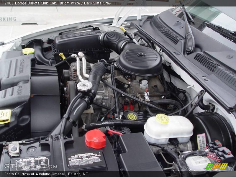 Bright White / Dark Slate Gray 2003 Dodge Dakota Club Cab