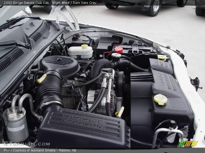Bright White / Dark Slate Gray 2003 Dodge Dakota Club Cab