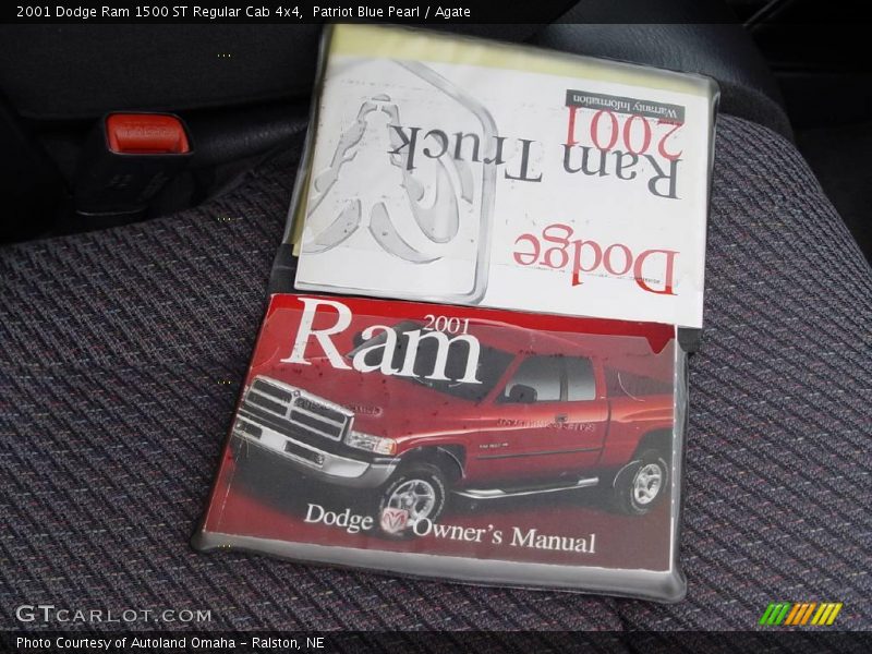 Patriot Blue Pearl / Agate 2001 Dodge Ram 1500 ST Regular Cab 4x4