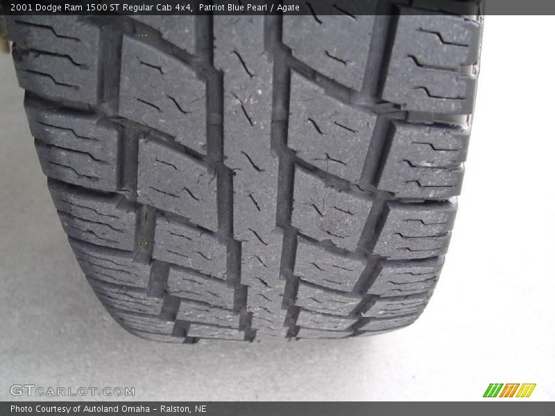 Patriot Blue Pearl / Agate 2001 Dodge Ram 1500 ST Regular Cab 4x4