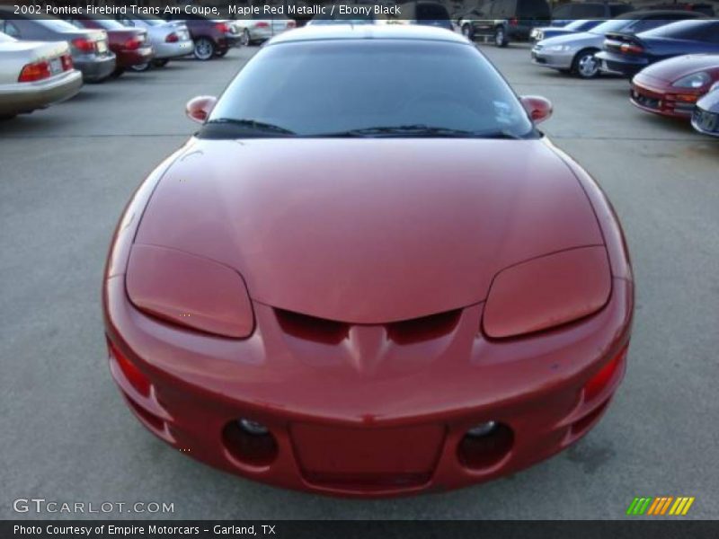 Maple Red Metallic / Ebony Black 2002 Pontiac Firebird Trans Am Coupe