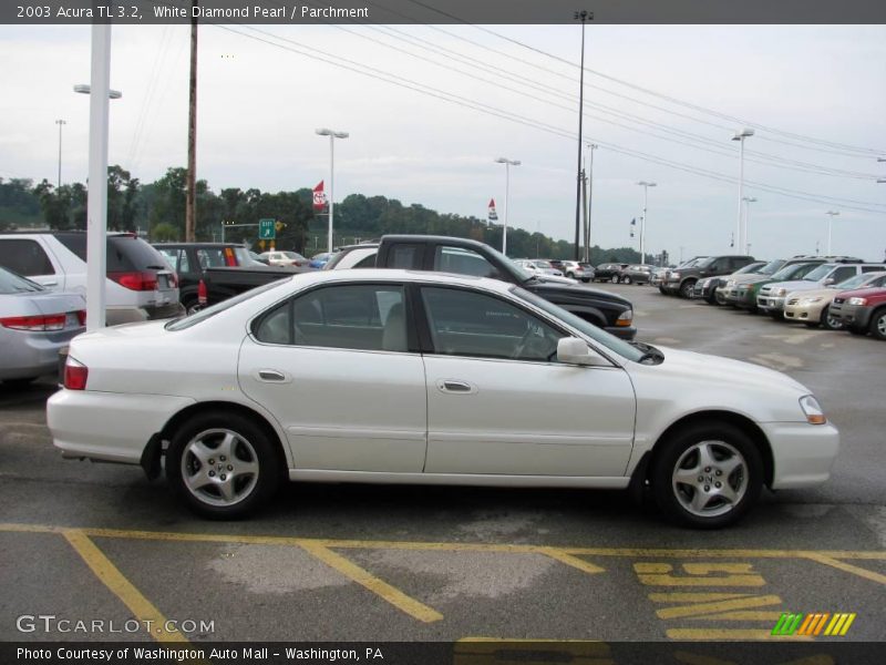 White Diamond Pearl / Parchment 2003 Acura TL 3.2